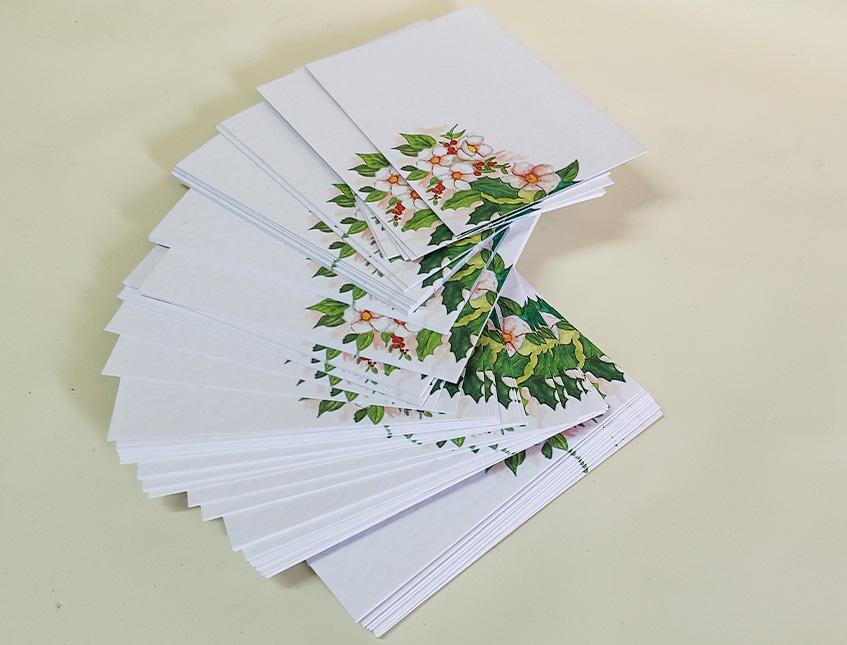 Biglietti stampati x 100 motivo fiori clematis - Sconti per Fioristi e Aziende