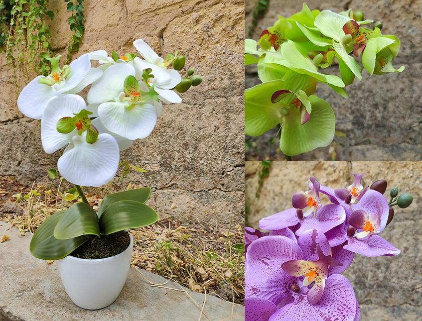 Orchidea foglia larga con vaso H 40 cm in diversi colori Sconti per Fioristi, Wedding e Aziende .