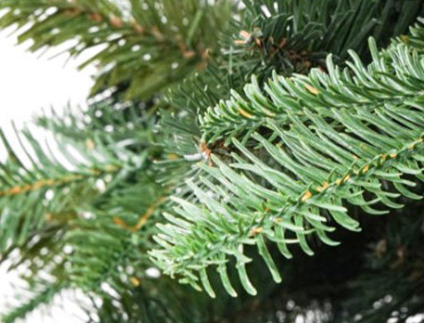 Albero a parete Marte H 210 - Sconti per Fioristi e Aziende . - Base cm.105 in PE+ PVC