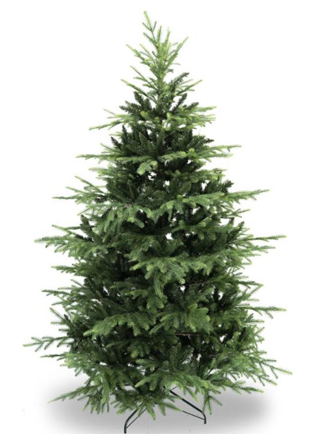 Albero Wild abete chiaro - Sconti per Fioristi e Aziende - H 213/244 in PE+PVC