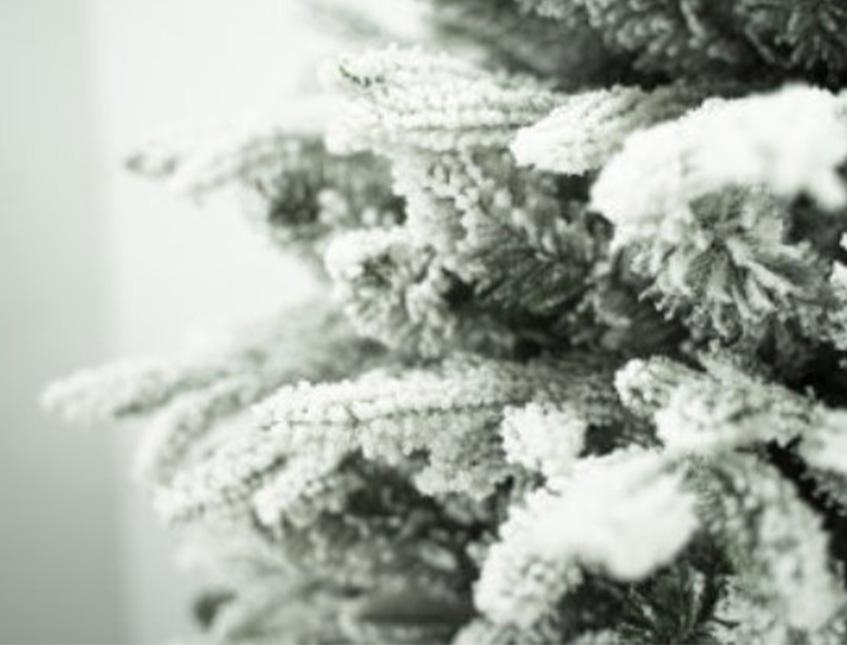 Albero Canada innevato-  Sconti per Fioristi e Aziende . -  H 150/180/210/240/270 in PE+PVC