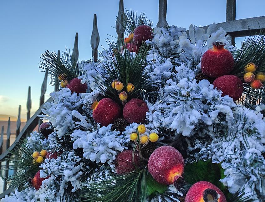 Corona di Pino/Abete dm. 61 - Sconti per Fioristi e Aziende - innevata