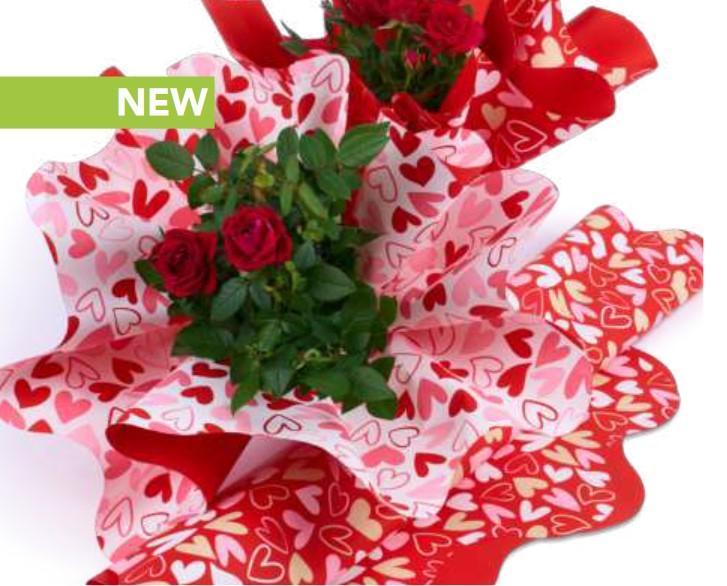 Coprivaso Smerlato con cuori - Sconti per Fioristi e Aziende - Bianco e Rosso dm. 50