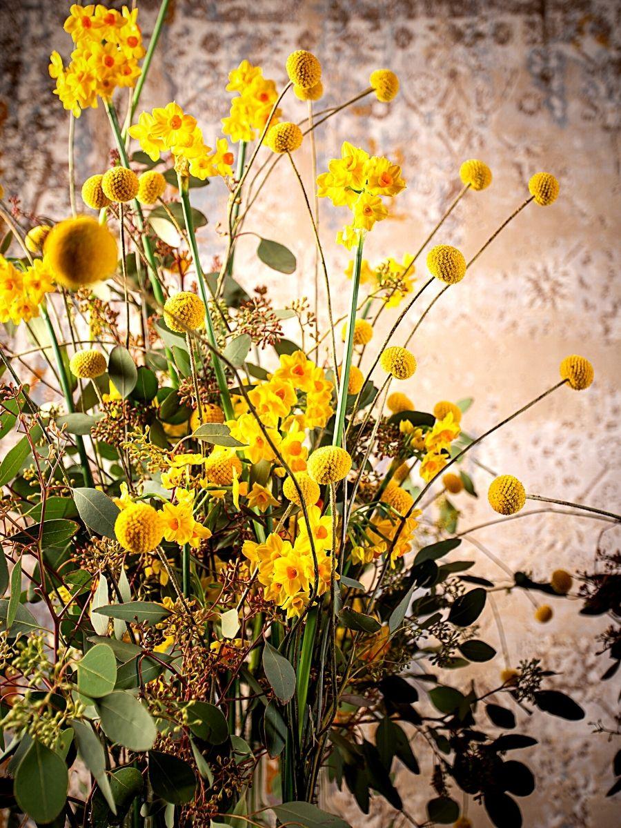 Craspedia Globosa Naturale - Bill Botton Stabilizzato - Sconti per Fioristi e Aziende