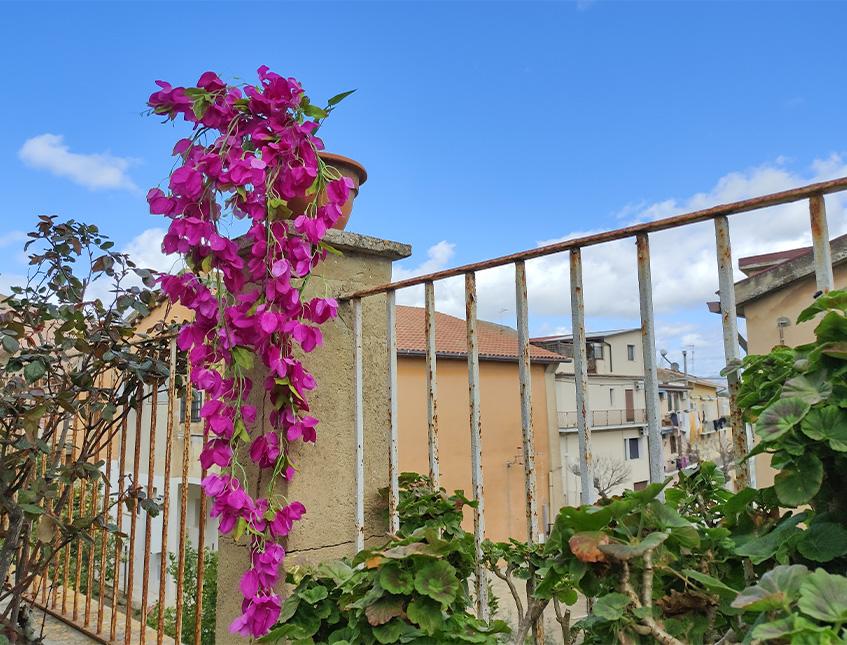 Bouganvillea cadente Fuxia H 130 cm Artificiale - Sconti per Fioristi e Aziende e Wedding .