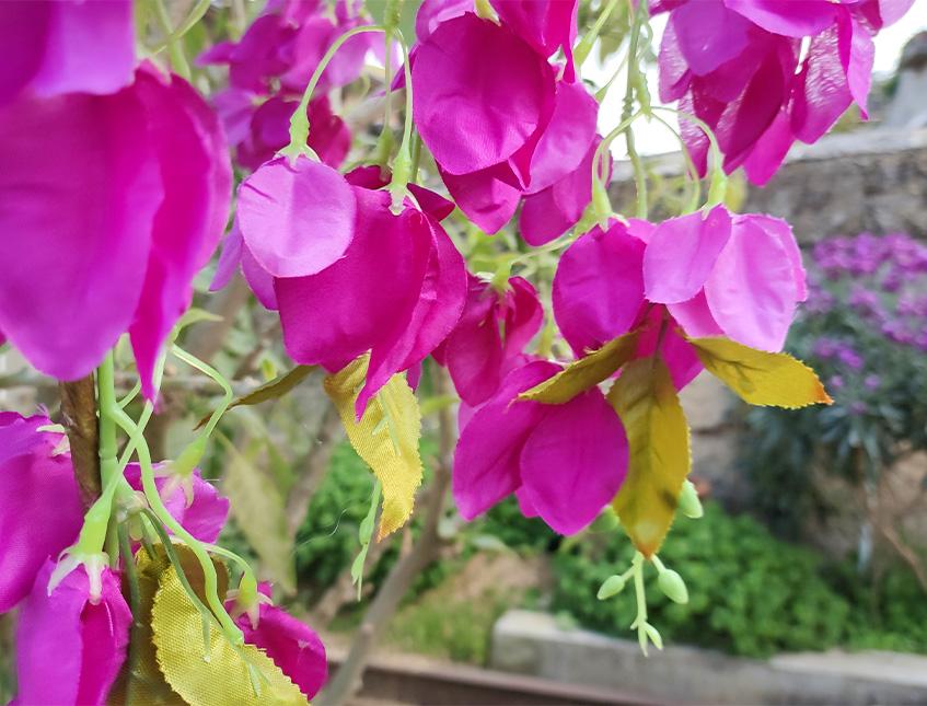 Bouganvillea cadente Fuxia H 130 cm Artificiale - Sconti per Fioristi e Aziende e Wedding .