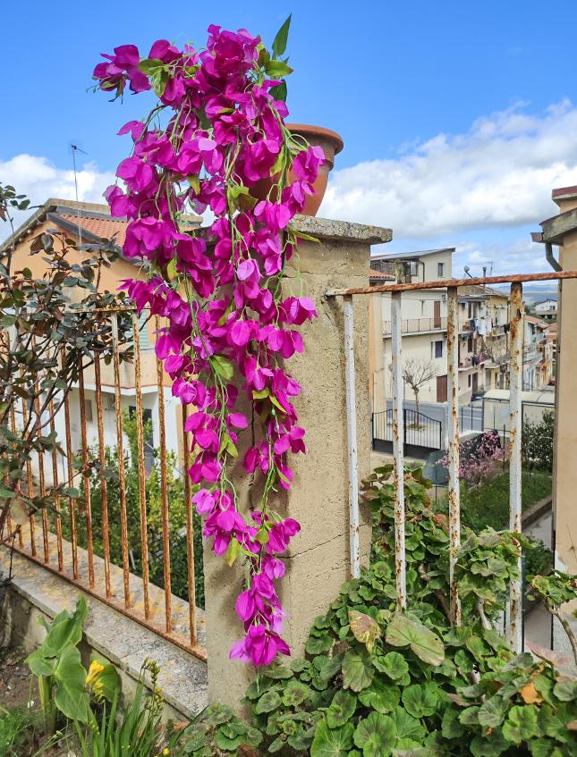 Bouganvillea cadente Fuxia H 130 cm Artificiale - Sconti per Fioristi e Aziende e Wedding