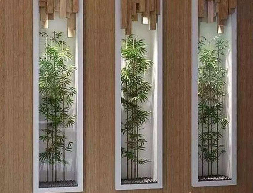 Canne Bamboo con punte - Sconti per Fioristi e Aziende - Confezione H 120 x 5 canne