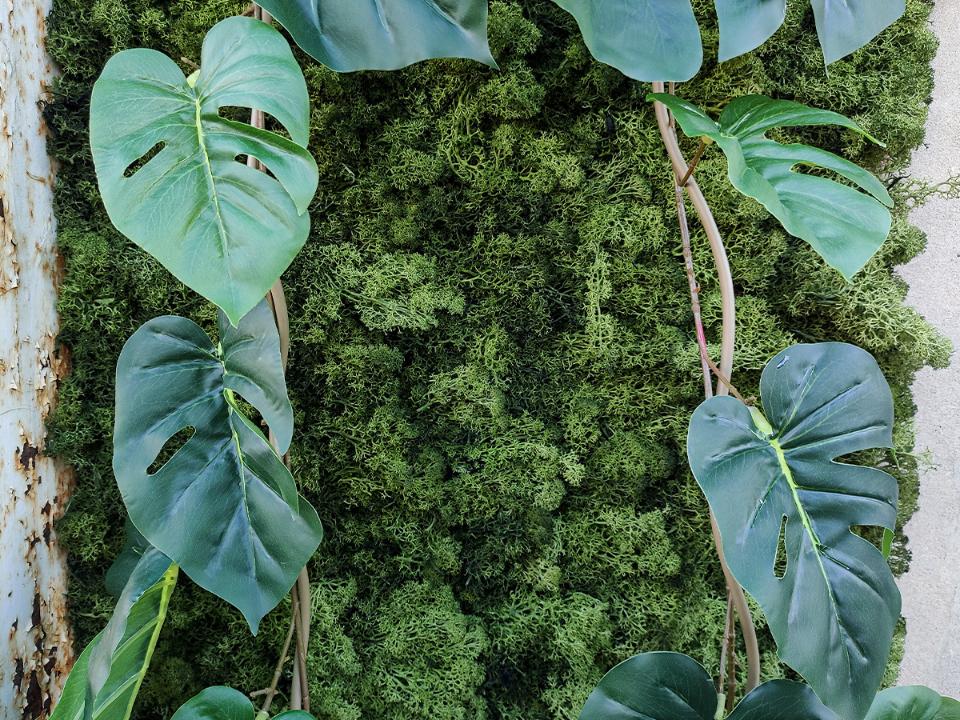 Filodendro garland H 185 - Sconto per Fioristi e Aziende . - Cadente in poliester animato