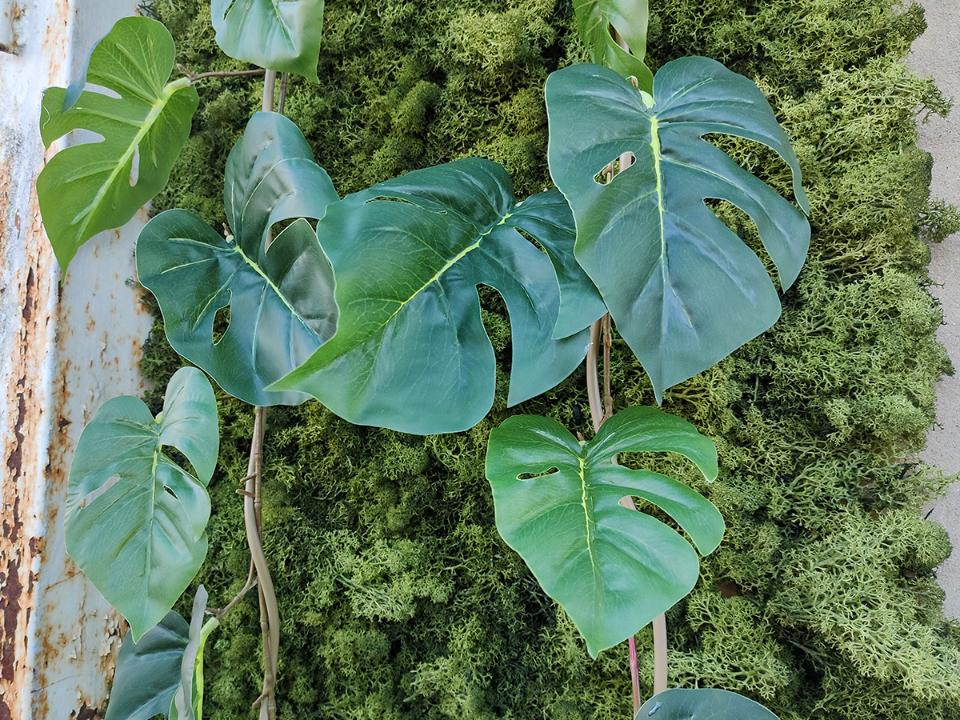 Filodendro garland H 185 - Sconto per Fioristi e Aziende . - Cadente in poliester animato