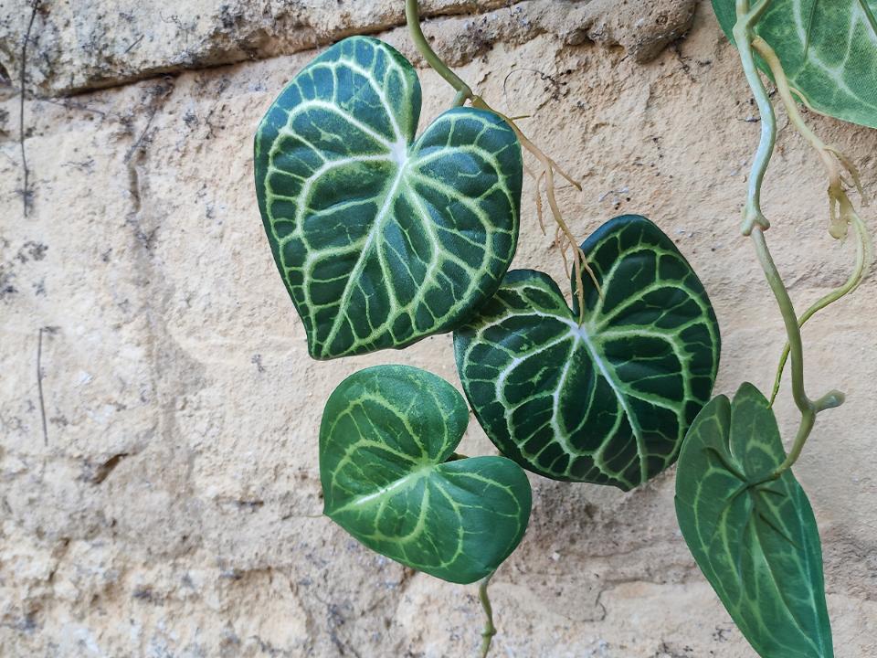 Anthurium garland H 110 - Sconto per Fioristi e Aziende . - Cadente in poliester