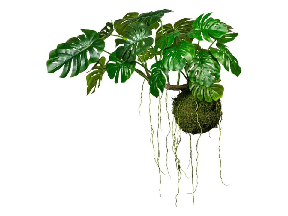 Monstera Kokedama H 120 - Sconto per Fioristi e Aziende . - Artificiale con 19 foglie su sfeta