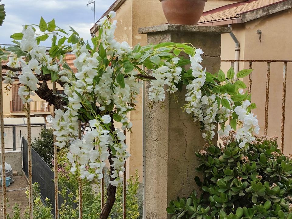 Glicine x 3  H 85 in poliester - Sconti per fioristi e aziende - Vari colori