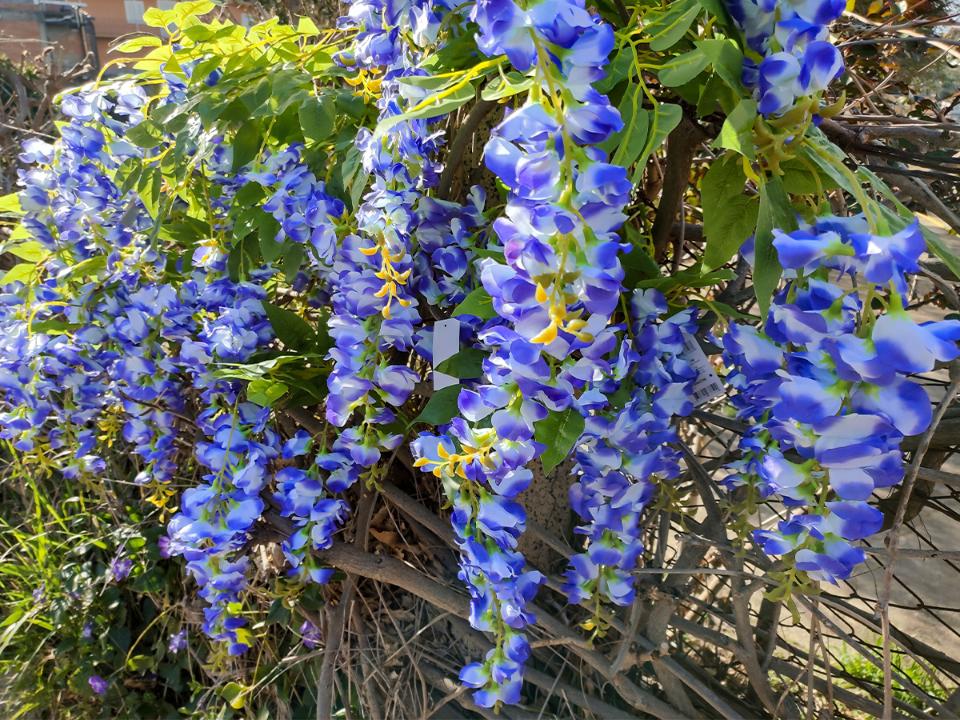 Glicine x 3  H 85 in poliester - Sconti per fioristi e aziende - Vari colori