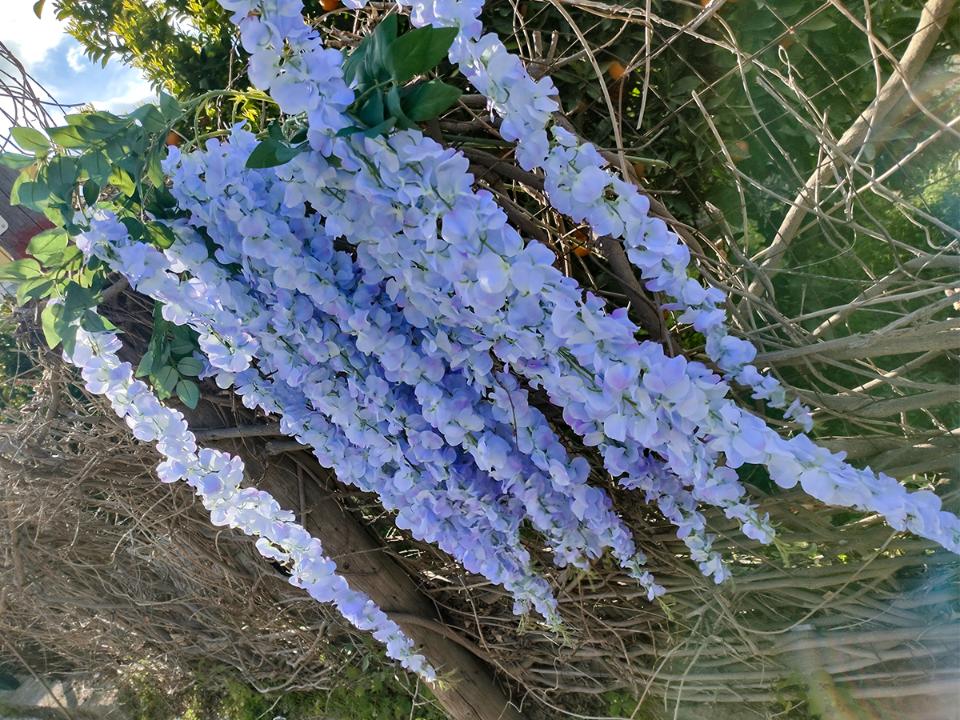 Glicine cadente x 3 H 150 cm. in poliestere - Sconti per fioristi e aziende