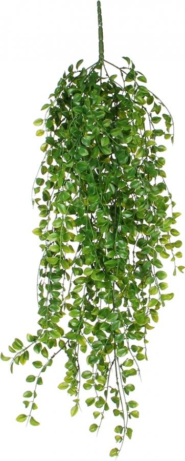 Ficus Barock Cadente H100 - Sconti per Fioristi e Aziende - in gomma