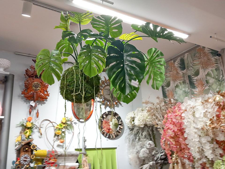 Monstera Kokedama H 120 - Sconto per Fioristi e Aziende . - Artificiale con 19 foglie su sfeta