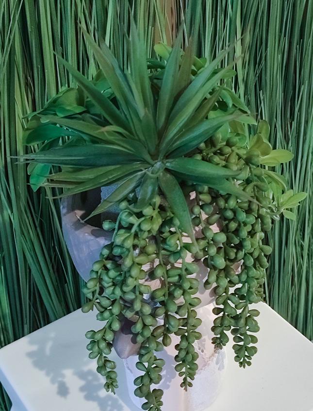 Senecio x 5 in gomma H 70 - Sconti per Fioristi e Aziende . - - Pianta del rossario Cadente