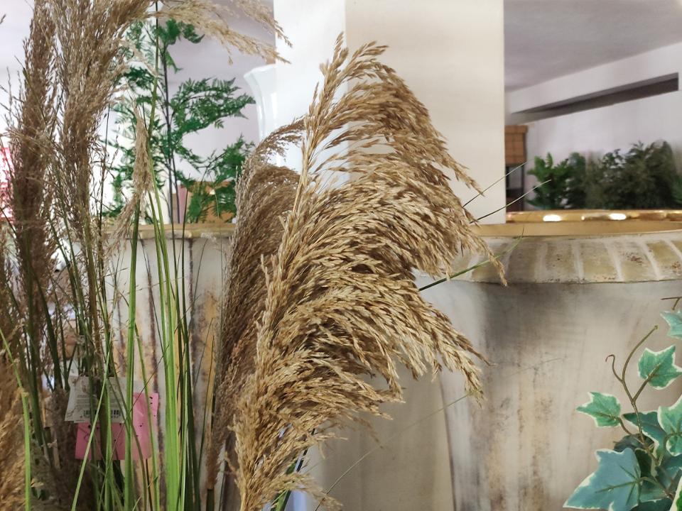 Pianta di Pampas H 170 - Sconti per Fioristi e Aziende . - Artificiale con Grass