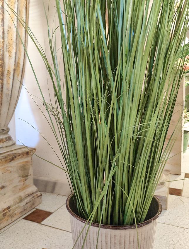 Pianta di Pampas H 170 - Sconti per Fioristi e Aziende . - Artificiale con Grass