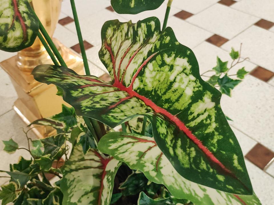 Caladium H 100 con 9 foglie - Sconti per Fioristi e Aziende - Artificiale con vaso