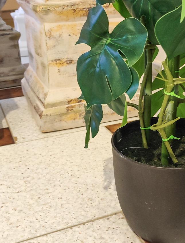 Filodendro H 90 a colonna - Sconti per Fioristi e Aziende . - Artificiale in vaso