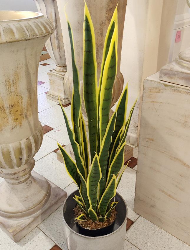Sanseveria Trifasciata H 90  - Sconti per Fioristi e Aziende . - Artificiale con vaso