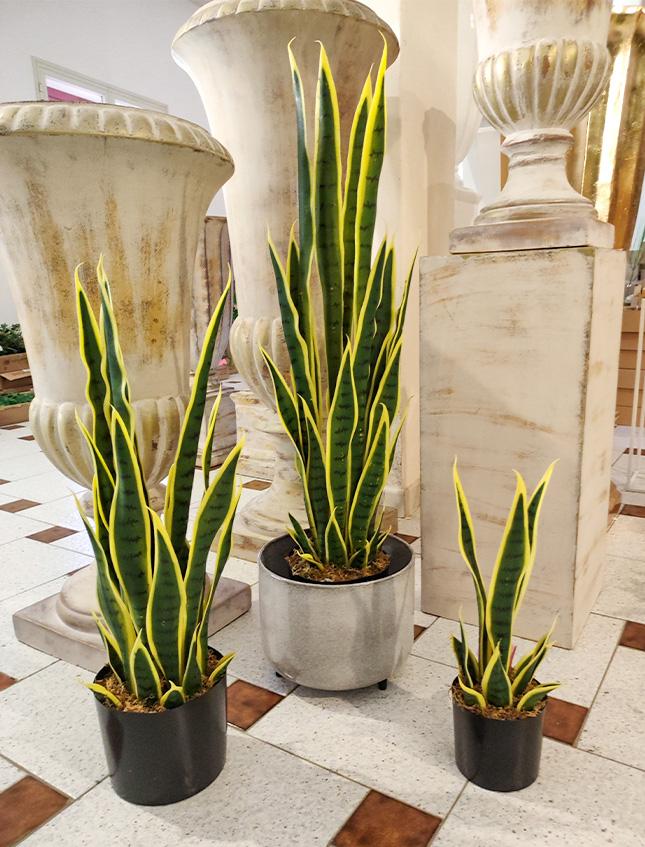 Sanseveria Trifasciata H 90  - Sconti per Fioristi e Aziende - Artificiale con vaso