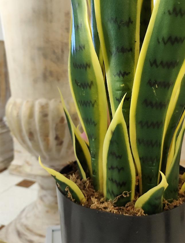 Sanseveria Trifasciata H 70 - Sconti per Fioristi e Aziende - Artificiale con vaso