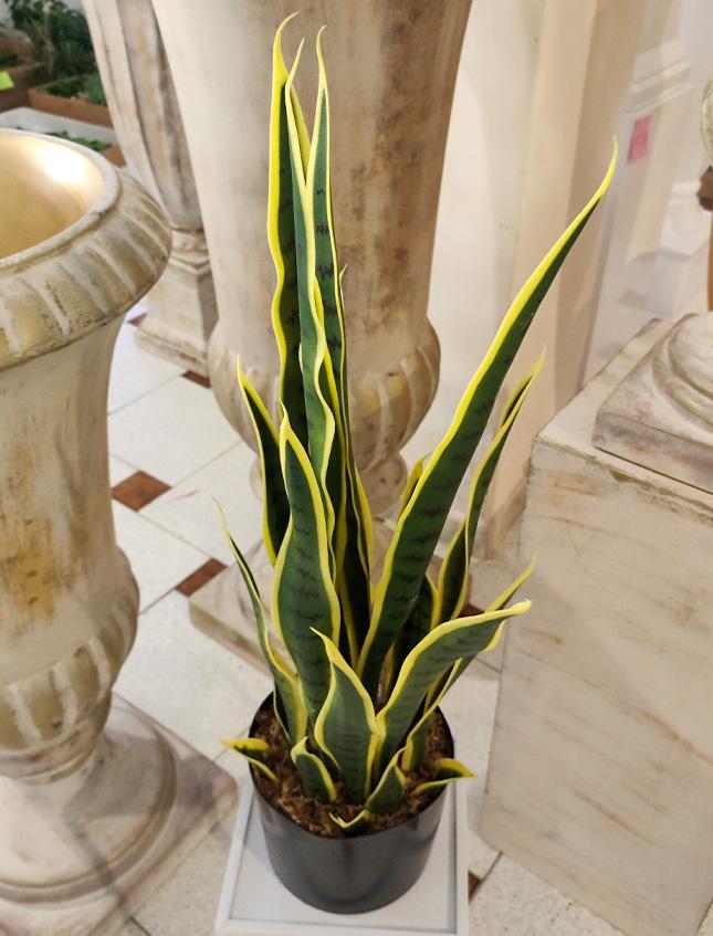 Sanseveria Trifasciata H 70 - Sconti per Fioristi e Aziende . - Artificiale con vaso