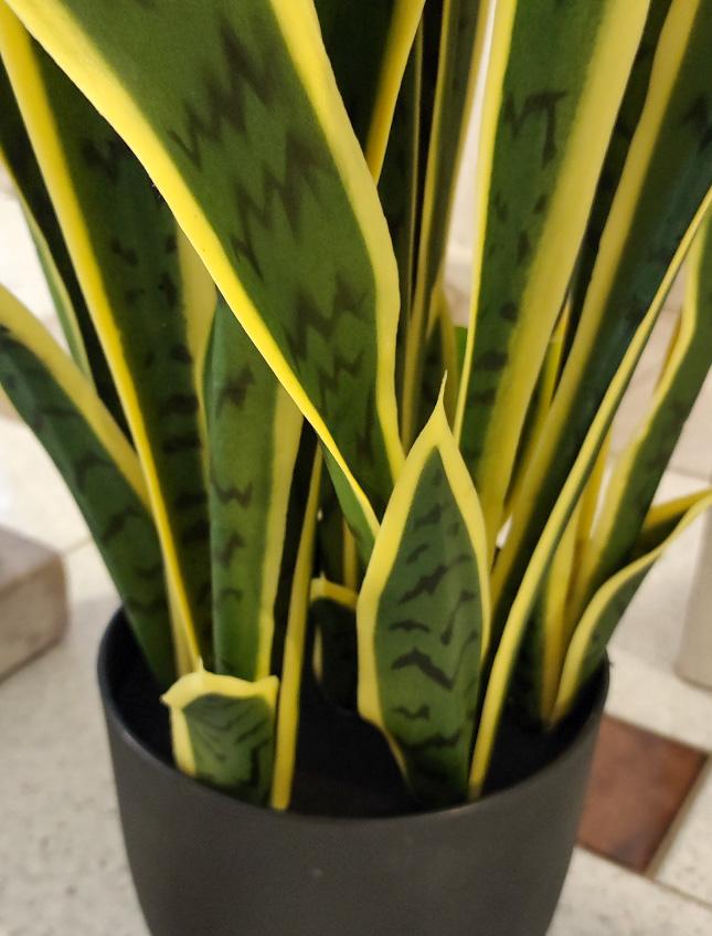 Sanseveria Trifasciata H 90  - Sconti per Fioristi e Aziende - Artificiale x 29 foglie in vaso