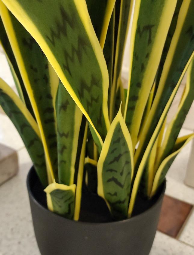 Sanseveria Trifasciata H 90  - Sconti per Fioristi e Aziende - Artificiale x 29 foglie in vaso