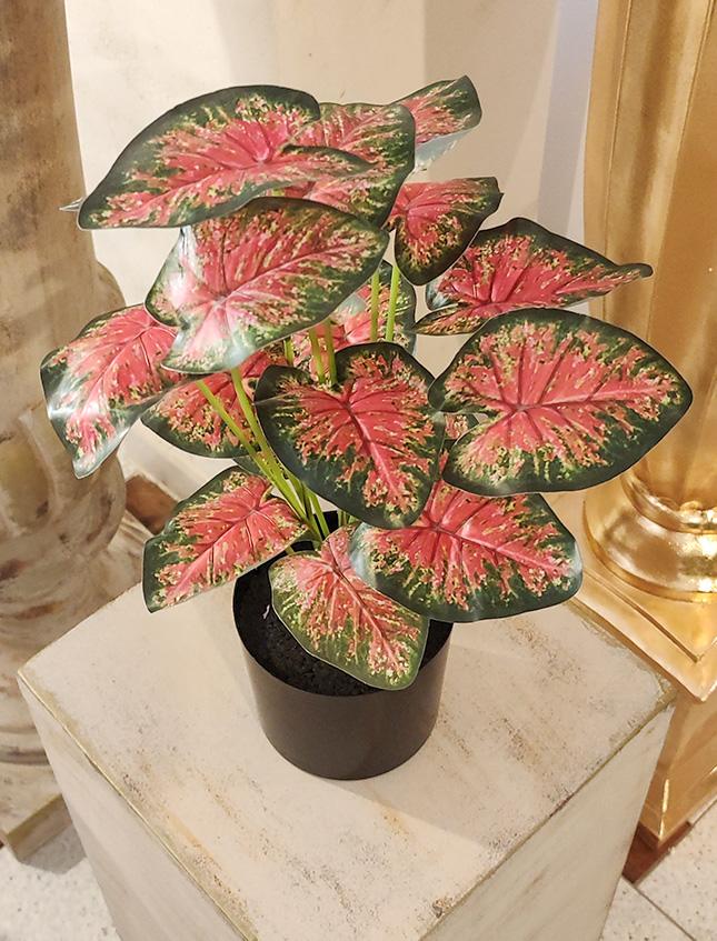 Caladium x 18 Rosso H 48 - Sconti per Fioristi e Aziende -  Artificiale con vaso