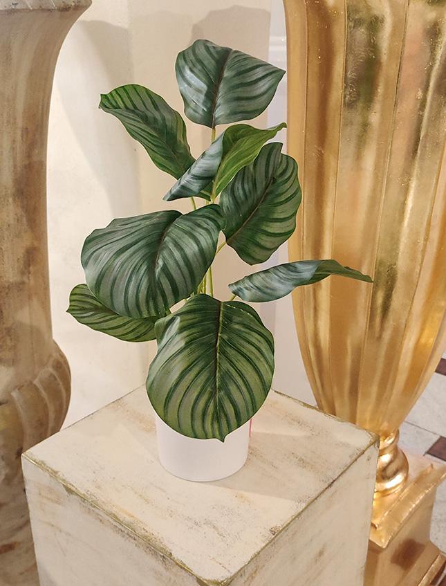 Calathea x 9 Striata H 45 - Sconti per Fioristi e Aziende - Artificiale con vaso