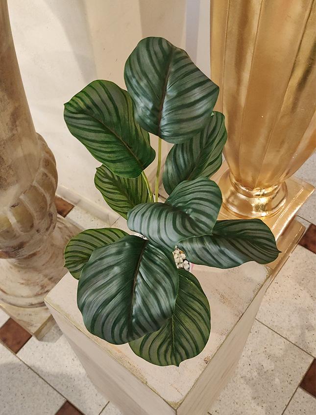 Calathea x 9 Striata H 45 - Sconti per Fioristi e Aziende - Artificiale con vaso