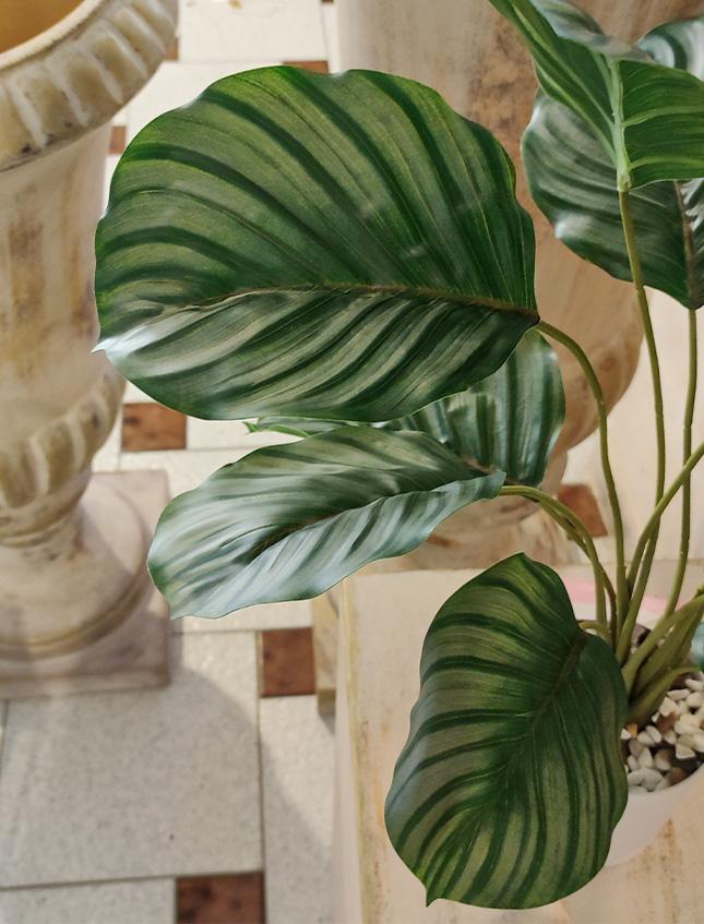 Calathea x 12 Striata H 57 - Sconti per Fioristi e Aziende . -  Artificiale con vaso
