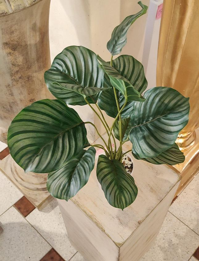 Calathea x 12 Striata H 57 - Sconti per Fioristi e Aziende -  Artificiale con vaso