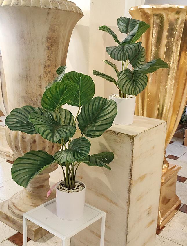 Calathea x 12 Striata H 57 - Sconti per Fioristi e Aziende -  Artificiale con vaso