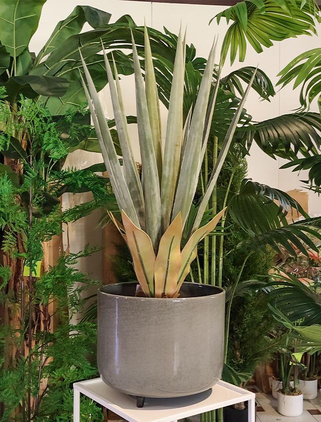 Agave Seal H 75  con vaso - Sconti per Fioristi e Aziende . - Artificiale