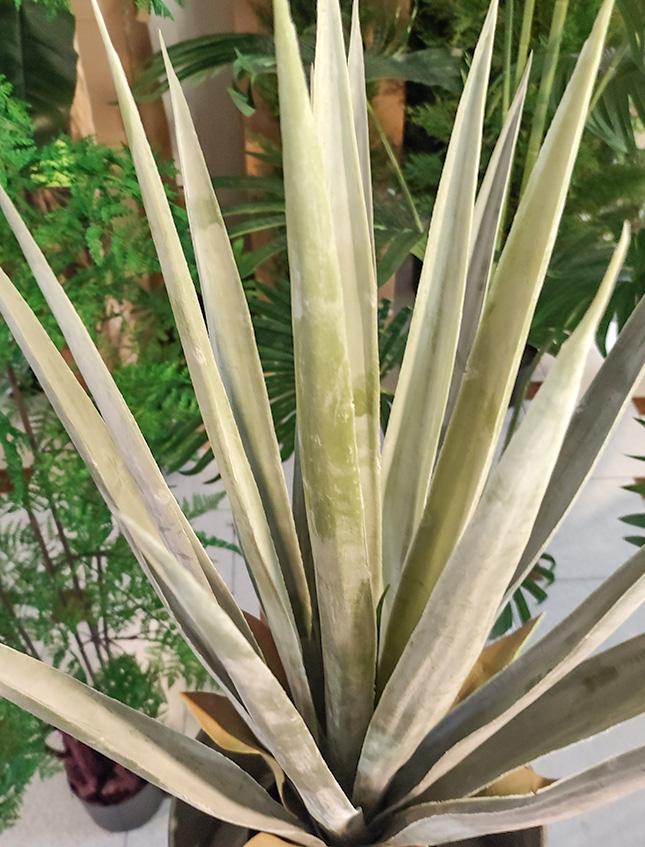 Agave Seal H 75  con vaso - Sconti per Fioristi e Aziende . - Artificiale