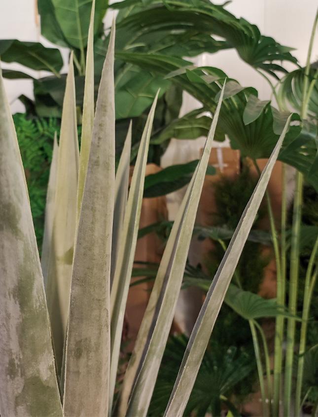 Agave Seal H 75  con vaso - Sconti per Fioristi e Aziende . - Artificiale