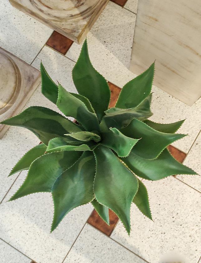 Agave H 56 in gomma - Sconti per Fioristi e Aziende . - Artificiale in vaso