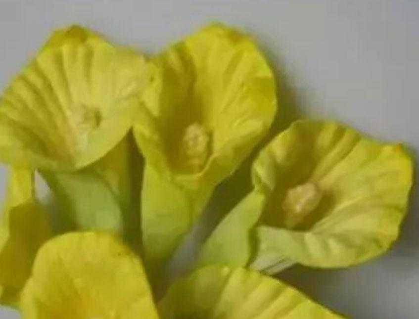 Calla x 6 in carta - Sconti per Fioristi e Aziende - Adatte per bomboniere