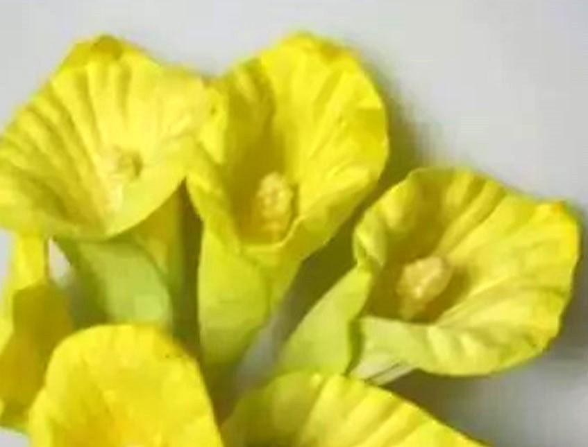 Calla x 6 in carta - Sconti per Fioristi e Aziende - Adatte per bomboniere