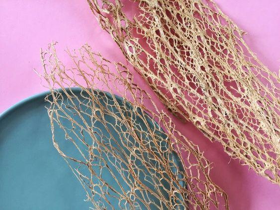Fibra scheletrita di fico d'india naturale  250 gr. - Sconti per Fioristi e Aziende .