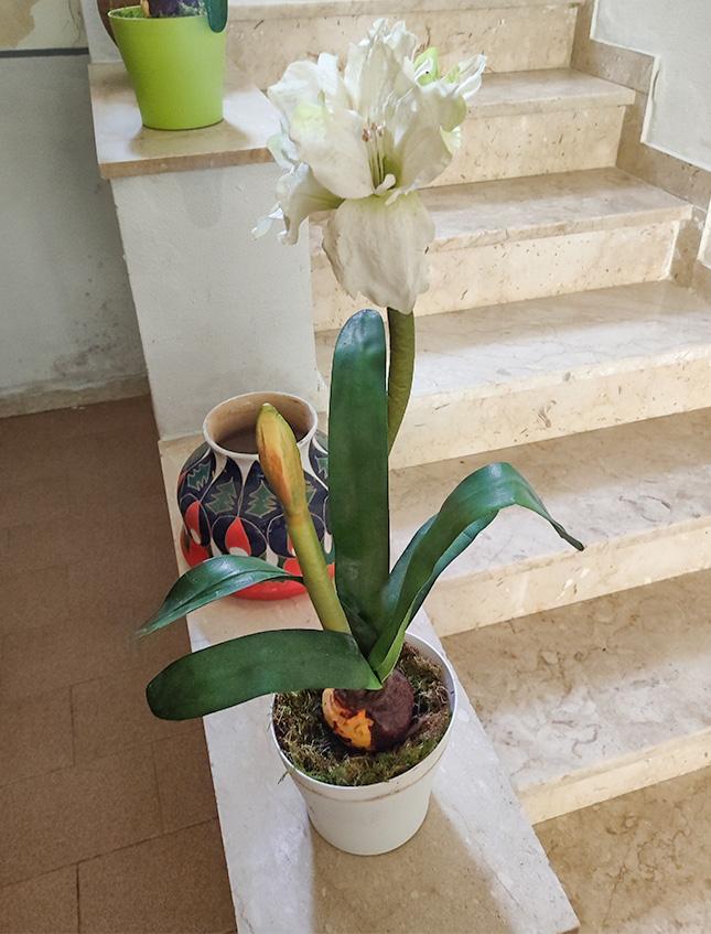 Amaryllis artificiale H 65 in vaso   - Sconto per Fioristi e Aziende