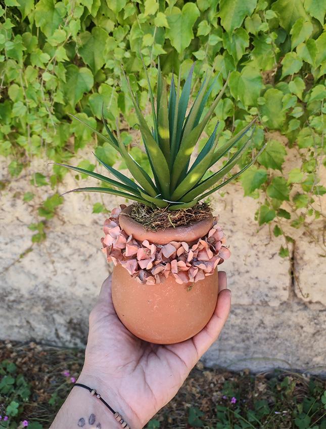 Orcetto vintage con Agave H 25 - Sconto per Fioristi e Aziende . - Terracotta decorata