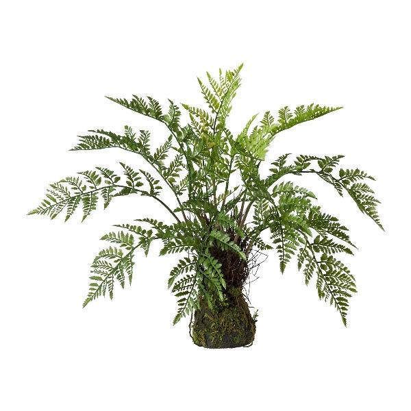 Felce Kokedama H 60 - Sconti per Fioristi e Aziende . - Artificiale su sfera muschiata