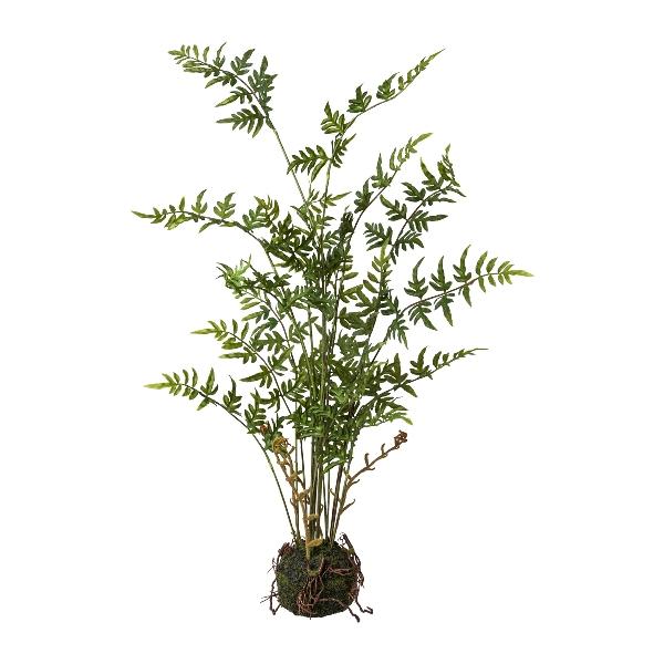 Felce Kokedama H 70 - Sconti per Fioristi e Aziende . - Artificiale su sfera muschiata