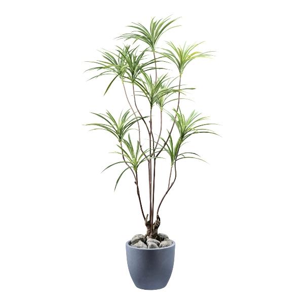 Dracena H 180 con 10 ciuffi - Sconti per Fioristi e Aziende . - Artificiale con vaso
